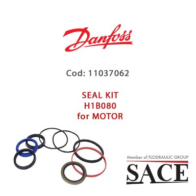 11037062 - OVERHAUL SEAL KIT H1B080 - MOTOR