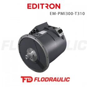 11289093 - ELECTRIC MACHINE EM-PMI300-T310-2800+NE2+RES1 - EDITRON