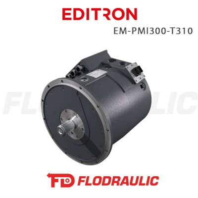 11289093 - ELECTRIC MACHINE EM-PMI300-T310-2800+NE2+RES1 - EDITRON