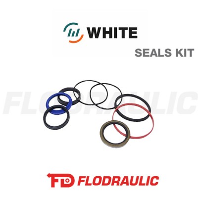 151-1166 OVERHAUL SEALS KIT FOR OMR SHAFT Ø32 - WHITE DRIVE MOTORS